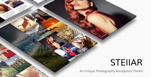 Nulled Stellar Theme v1.6 - Creative Photography Responsive product snapshot