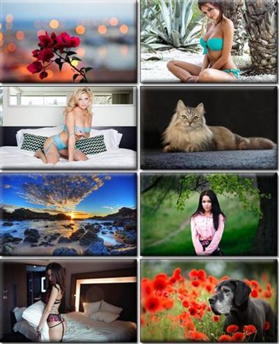 LIFEstyle News MiXture Images. Wallpapers Part (1053)