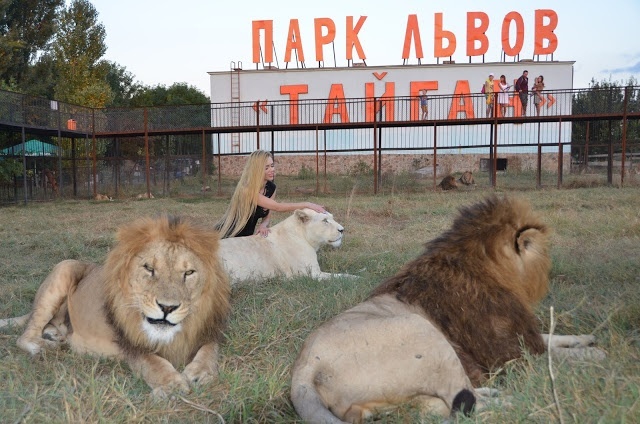 Катя Самбука устроила в Крыму фотосессию со львами [фото]