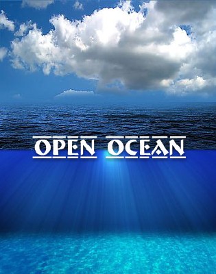 Открытый океан / Open Ocean (2016) HDTVRip (720p)