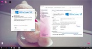 Windows 10 x86/x64 Professional Update v.80.16 UralSOFT (RUS/2016)