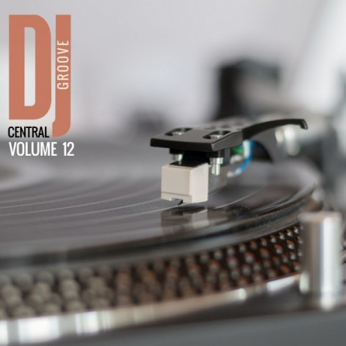 VA - DJ Central, Groove Vol.12 (2016)