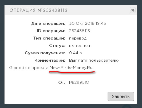 New-Birds-Money.ru -     