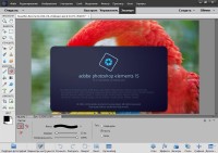 Adobe Photoshop Elements 15.0 by m0nkrus 