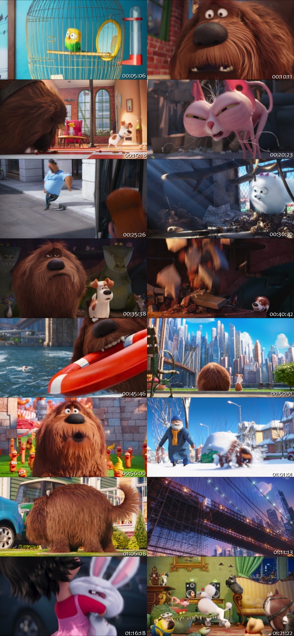 The Secret Life of Pets (2016) 1080p BluRay x264-SPARKS 170123