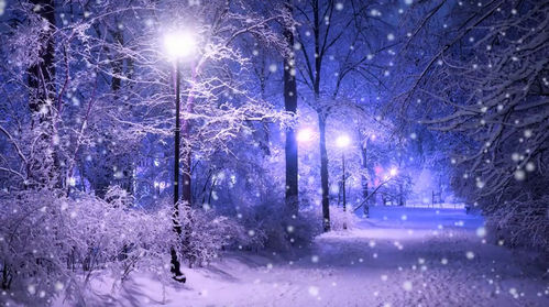 Футаж - Зимний вечер в парке