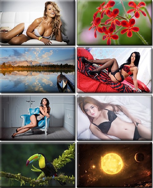 LIFEstyle News MiXture Images. Wallpapers Part (1101)