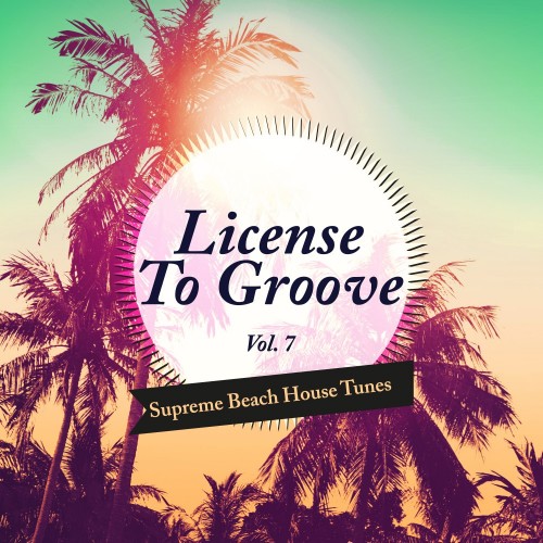 License to Groove - Supreme Beach House Tunes, Vol. 7 (2016)