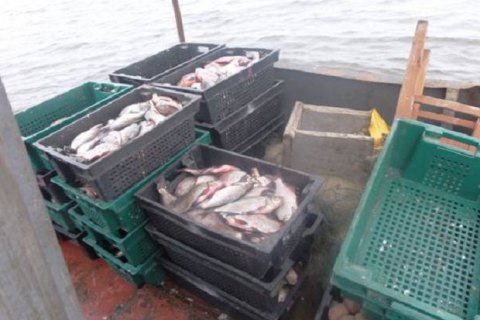 В Южном Буге и Днестровском водохранилище запретили промышленный лов рыбы