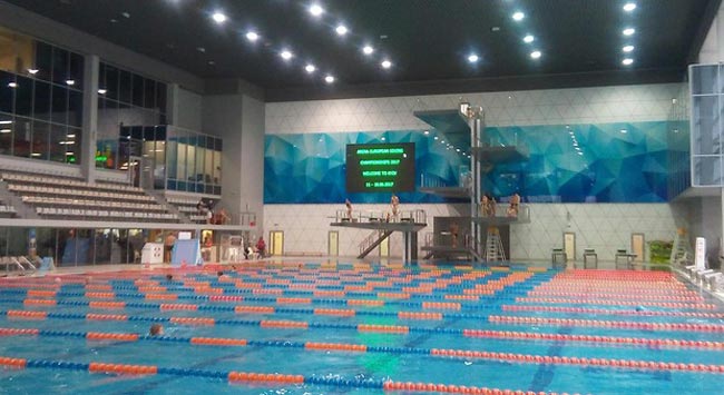 Киев проинспектировали на готовность принять чемпионат Европы по прыжкам в воду