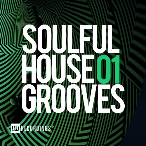 Soulful House Grooves, Vol. 01 (2016)