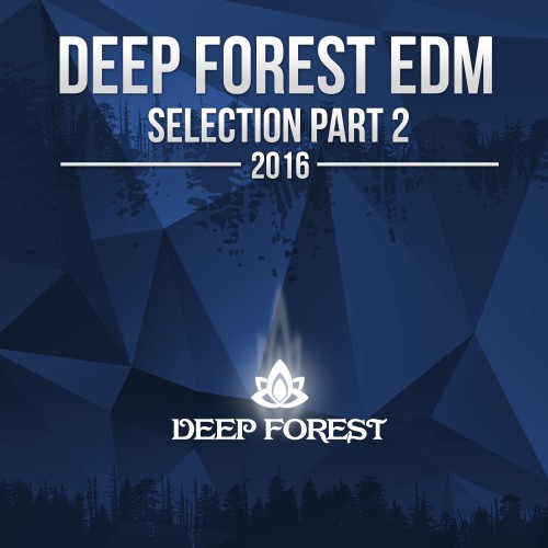 Deep Forest EDM Collection, Pt. 2 2016  (2016)