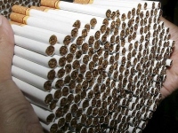 На Одесчине правоохранители перекрыли канал контрабанды сигарет на полтора миллиона гривен