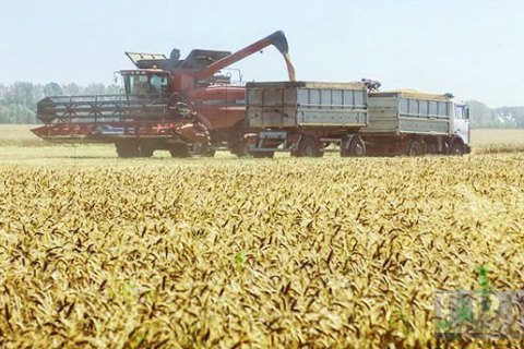 Украина четвертый год подряд собирает больше 60 млн тонн зерна