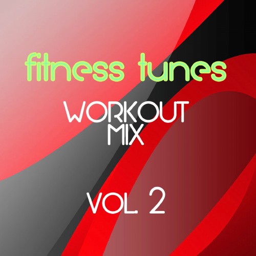 Fitness Tunes Workout Mix Vol. 2 (27 Electronic Tracks For Sport & Fitness) (2016)