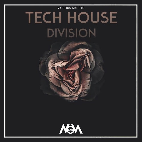 Tech House Division (2016)