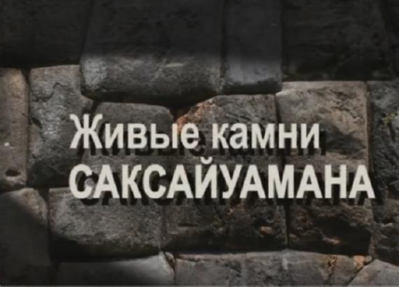 Живые камни Саксайуамана  (2012) WEBRip 