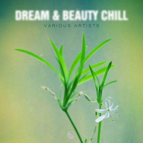 VA - Dream and Beauty Chill (2016)