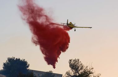 Масштабные пожары в Израиле: поджоги будут рассматривать как способ террора
