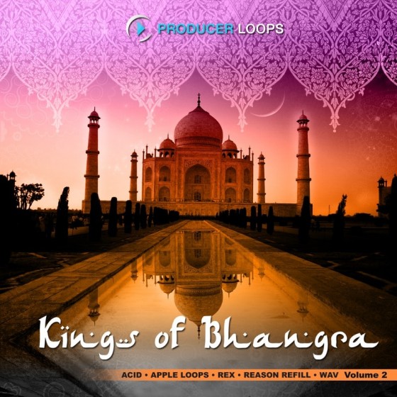Producer Loops Kings of Bhangra Vol 2 REX AiFF