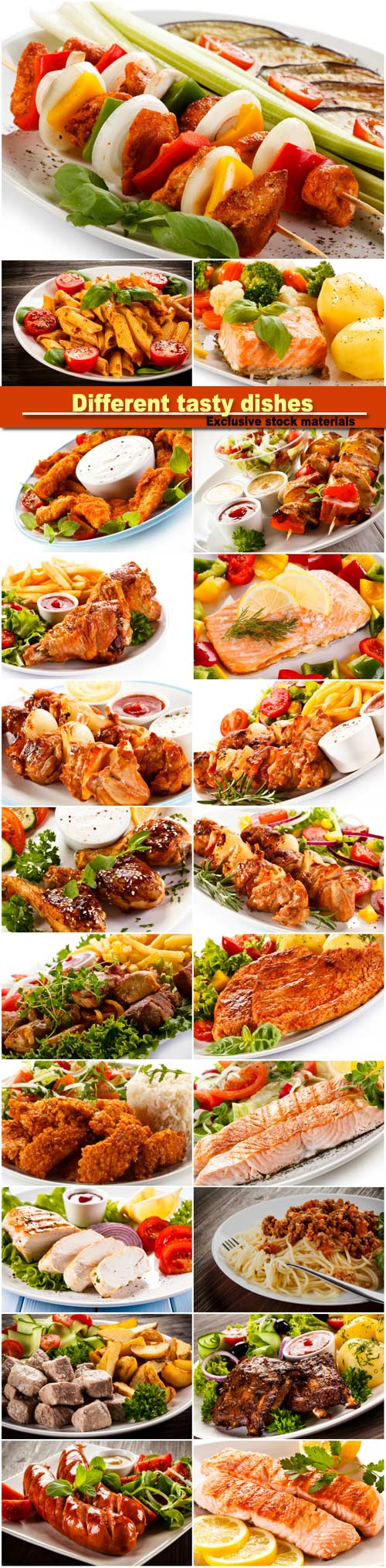 Set of different tasty dishes, fish, meat, vegetables