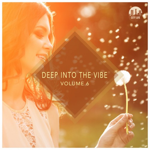 VA - Deep into the Vibe Vol.6 (2016)