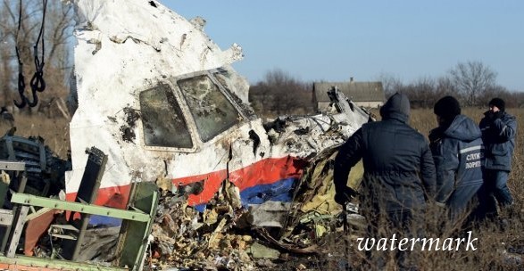 Авария MH17: в МИД РФ озвучили сроки встречи с Австралией и Нидерландами