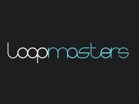 Loopmasters Junkyard Percussion Vol 2 MULTiFORMAT