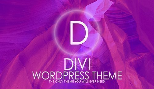 Divi v3.19.8 - WordPress Theme - ElegantThemes + Divi Plugins + Divi Layout + Divi PSD Files