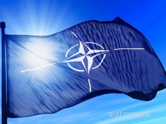 Порошенко озвучил срок вступления Украины в НАТО