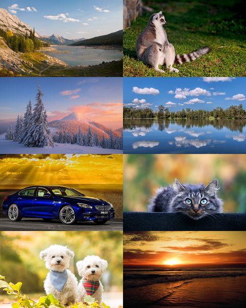 Wallpapers Mix №733