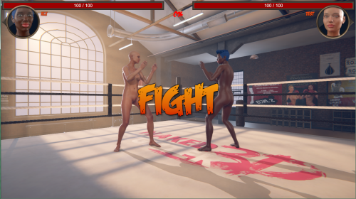 Sam3DX - Naked Fighter 3D Version 0.05 demo